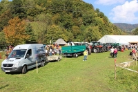 Almabtrieb Münstertal 2014